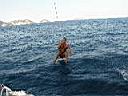 ponza 2003 - 033.JPG